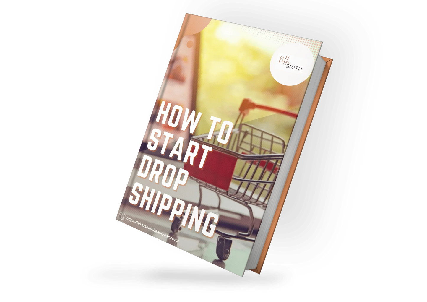 How To Start Drop Shipping - Nikki Smith Collection