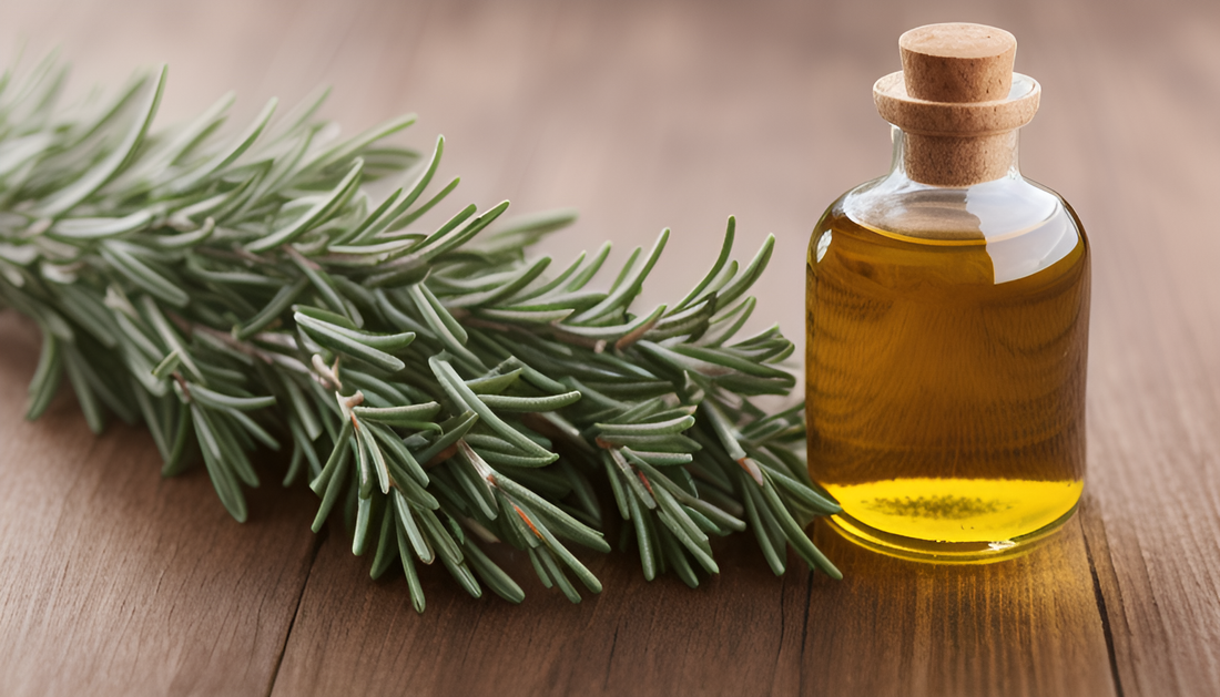 Which Oil Is Best For Hair Growth