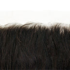 HD Brazilian Body Wave Frontal with 13x6 lace, showing off the luxurious body wave curls and seamless lace.