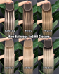 Raw Balayage 5x5 HD Lace Closure — Vietnamese Straight