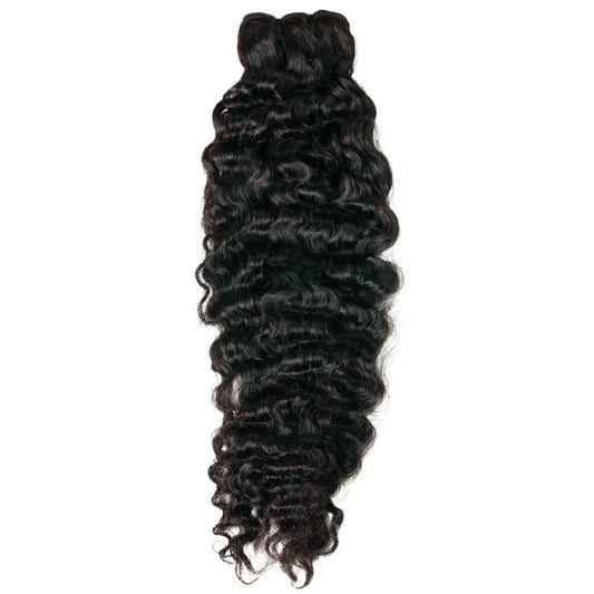 Virgin Burmese Curly
