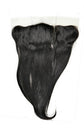 Brazilian silky straight 13x4 lace frontal in 100% virgin human hair - Nikki Smith Hair Collection