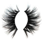 August 3D Lashes 25mm - Nikki Smith Collection