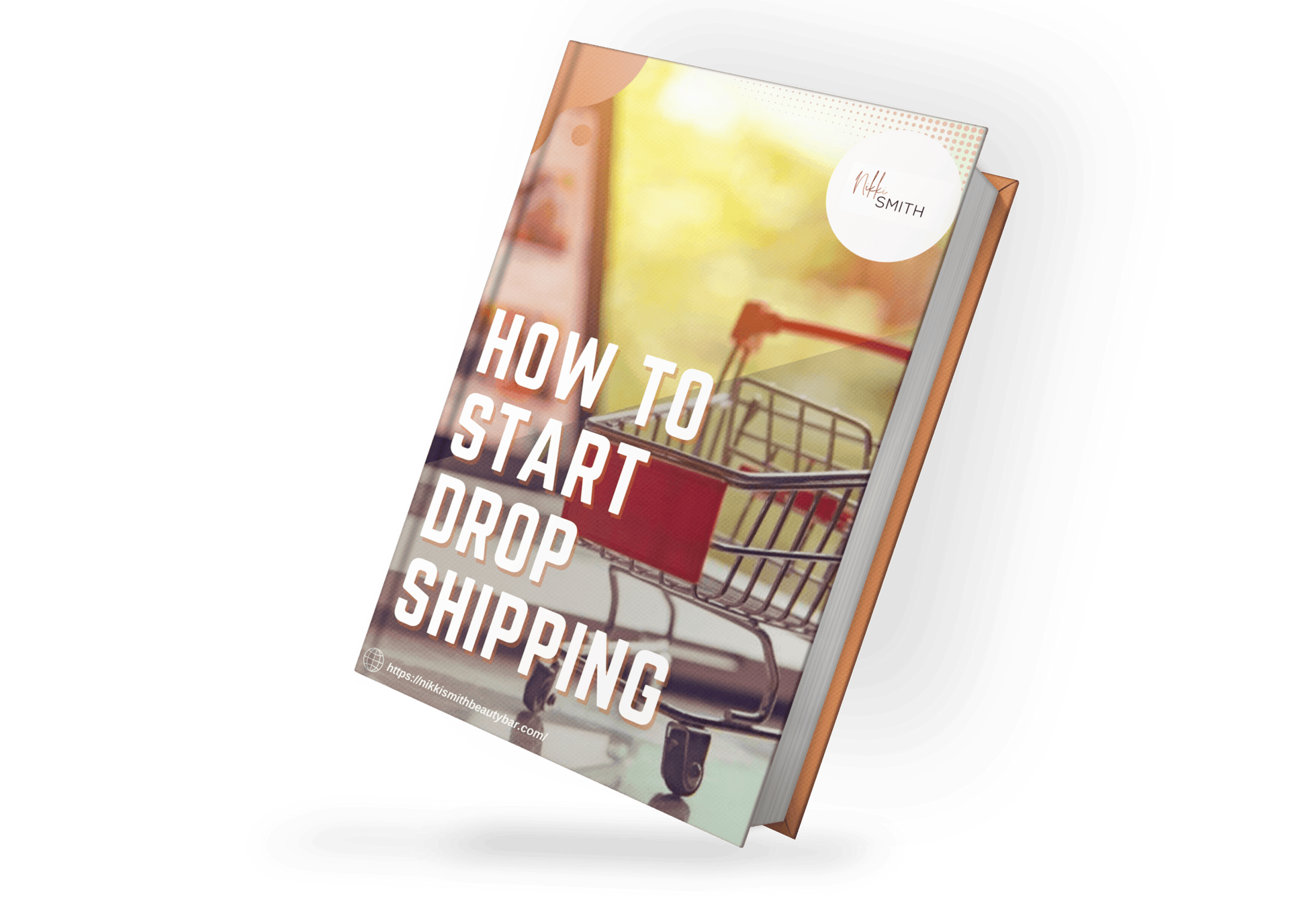 How To Start Drop Shipping - Nikki Smith Collection 