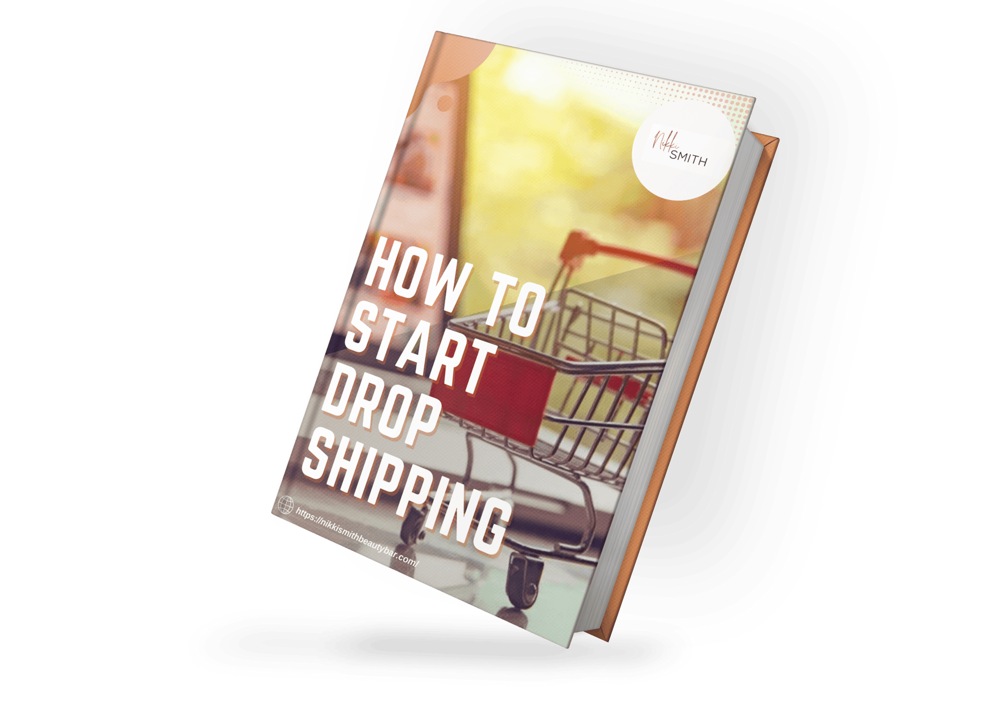 How To Start Drop Shipping - Nikki Smith Collection